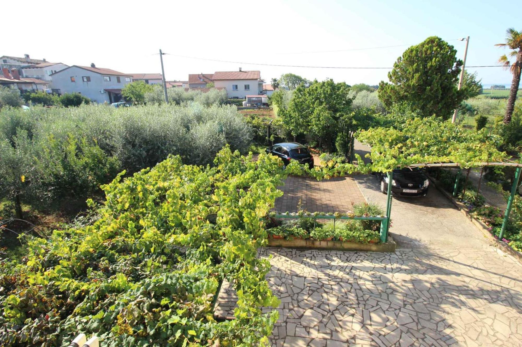 Apartments In Novigrad - Istrien 46738 Karpinjan Zewnętrze zdjęcie